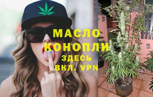 дмт Пересвет